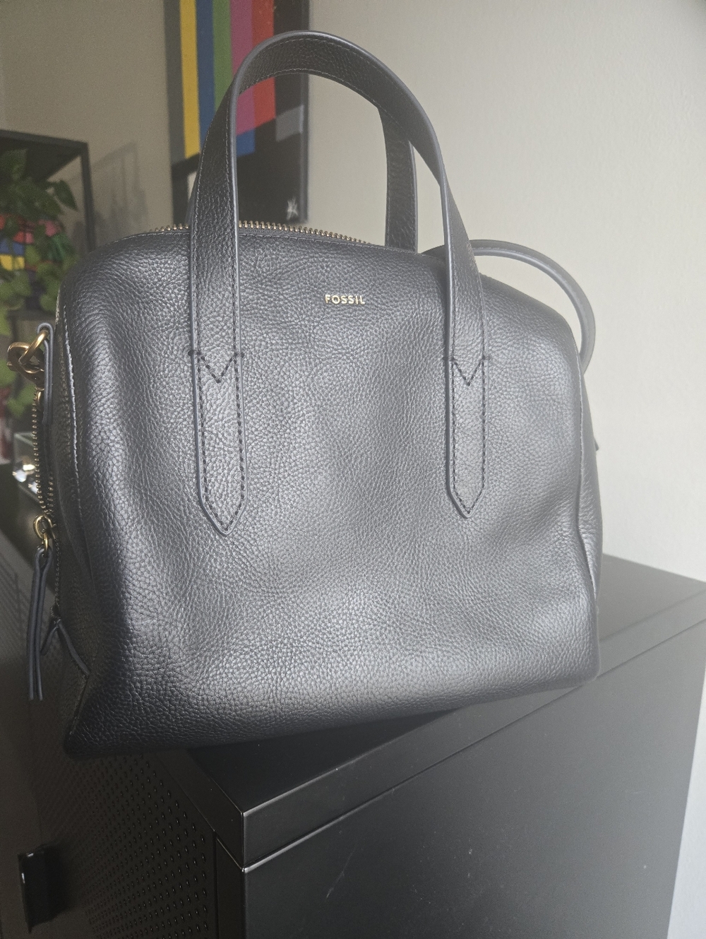 Leather Fossil Bag